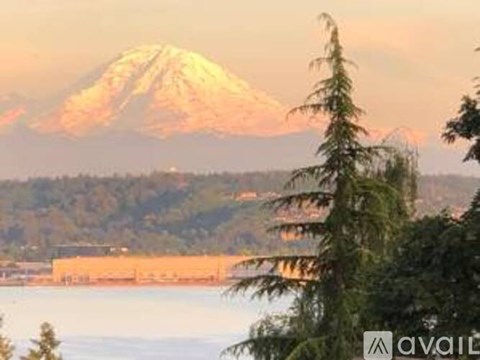 A mountain with a snow cap is in the background with trees in the foreground.