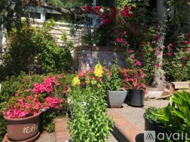 A garden with a variety of plants and flowers.