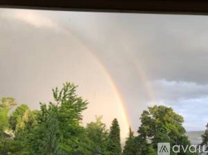 A rainbow appears in the sky over a forest.