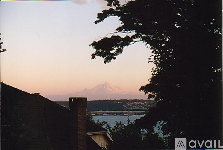 A mountain is visible in the distance behind a body of water.