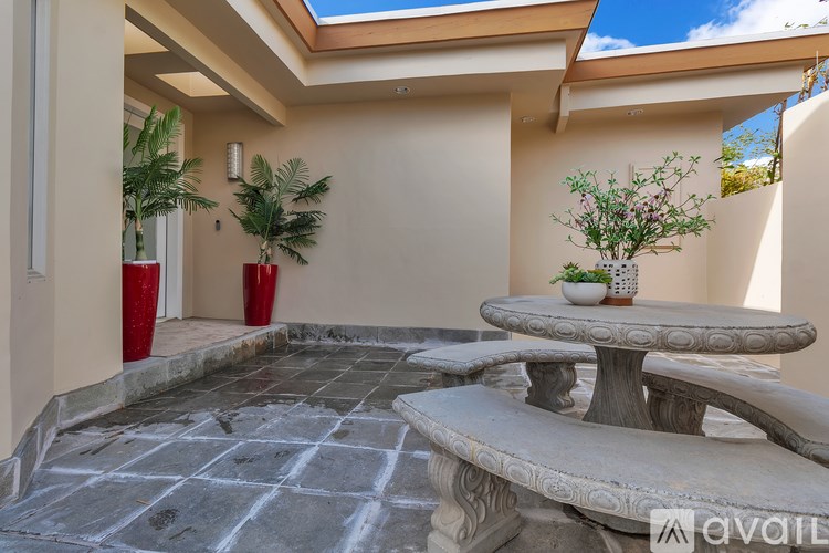 A patio with a table and chairs and a potted plant.