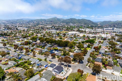 A bird's eye view of a residential area with houses and trees.