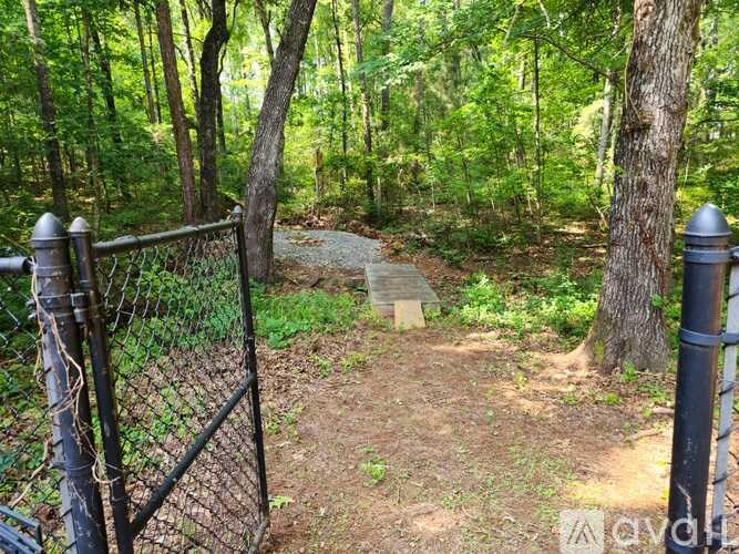 A forest path with a gate on the left side.