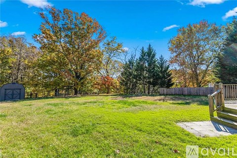 A grassy field with trees and a wooden bench.
