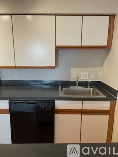 A kitchen with a black dishwasher and white cabinets.