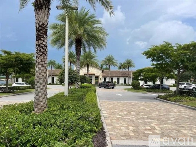 A palm tree stands in front of a building with a sign that reads "available".
