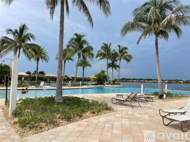 A pool surrounded by palm trees and lounge chairs.