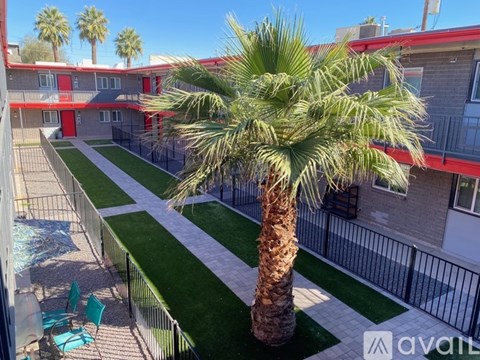 A palm tree stands in a courtyard with a pool and chairs.