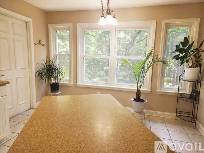 A dining room with a table, chairs, and potted plants.