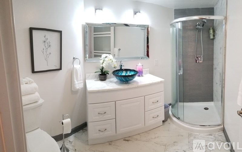 A bathroom with a white vanity and a glass shower stall.