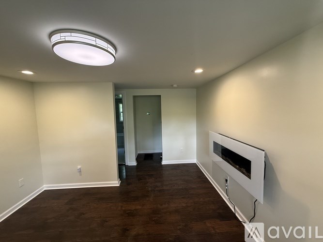 A room with a fireplace and a ceiling light.