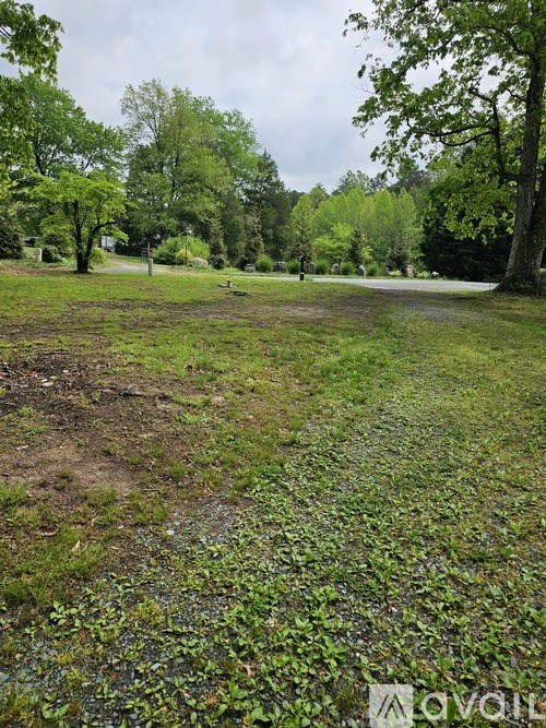 A grassy field with trees in the background.