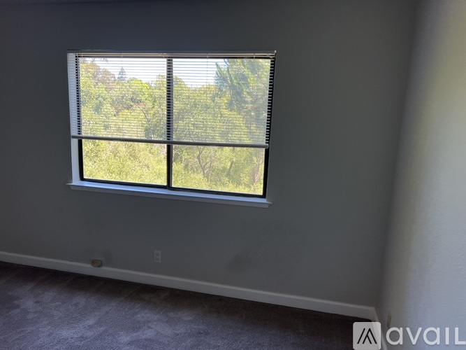 A window with blinds showing a view of trees outside.