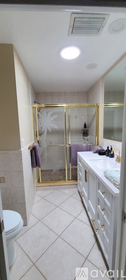 A bathroom with a walk-in shower and a toilet.