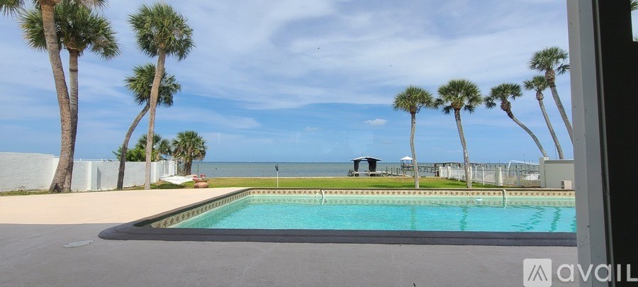 A pool surrounded by palm trees with a white wall and a blue sky in the background.