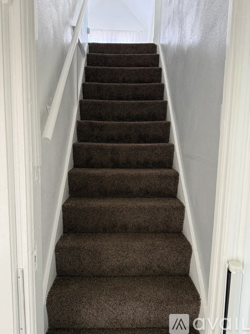 A staircase with brown carpeted steps and white railings.