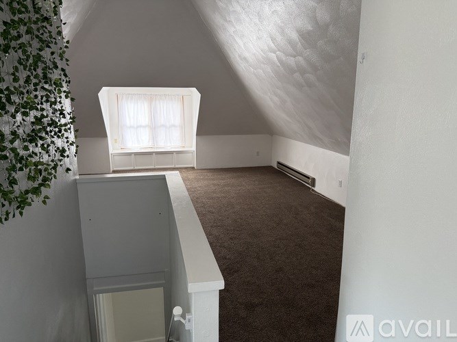 A room with a window and a plant on the left side.