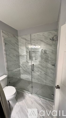 A bathroom with a walk-in shower and a toilet.