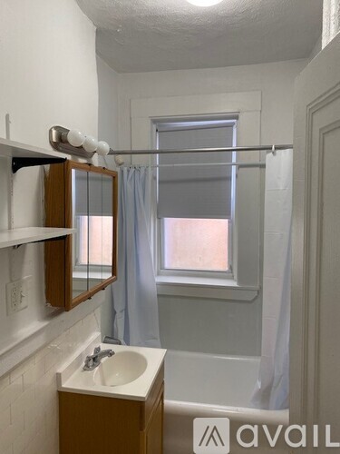 A bathroom with a sink, mirror, and shower curtain.