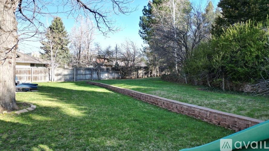 A backyard with a lawn, a tree, and a fence.