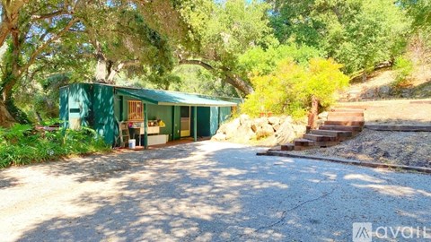 A green house is surrounded by trees and has a gravel driveway.