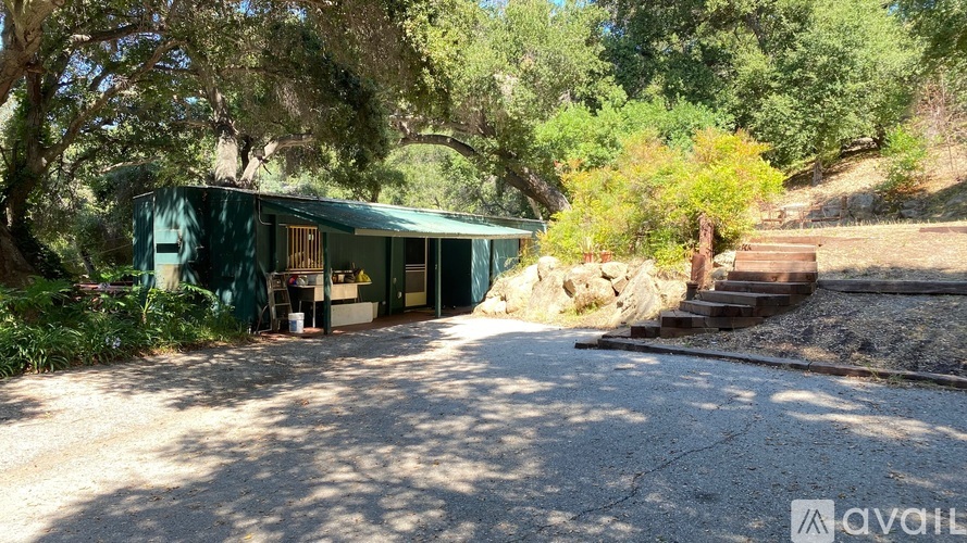 A house with a green exterior is surrounded by trees and has a gravel driveway leading to the front door.