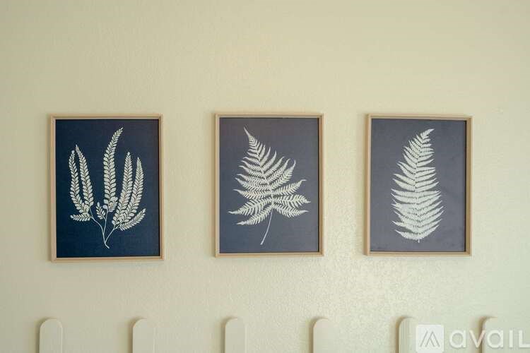 Source URL: https://prod-avail.s3.amazonaws.com/public_images/40353978/listing/qqcprg7qmyptfz2iyjxu.jpg