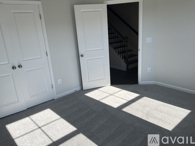 A room with two doors and a carpeted floor with sunlight shining through.