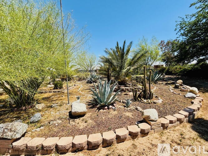 A garden with a stone border and a variety of plants.