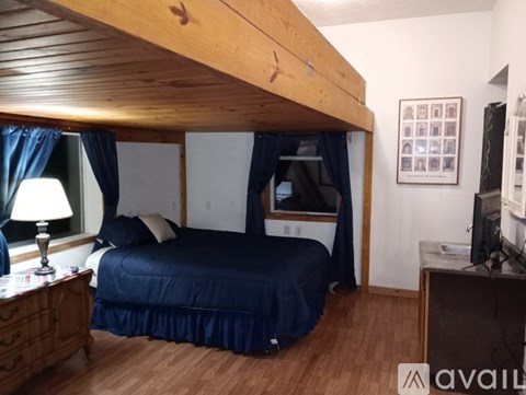 A bedroom with a bed under a wooden canopy, a nightstand with a lamp, and a television.