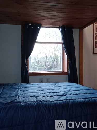 A bedroom with a blue bedspread and a window with black curtains.