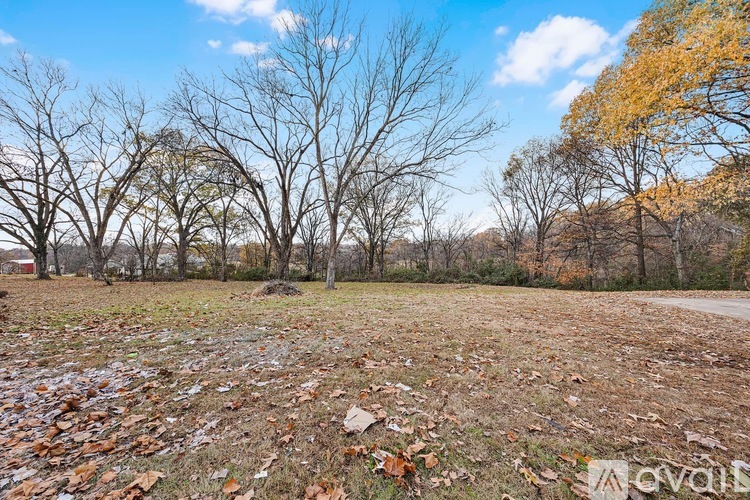 A field with trees and fallen leaves.
