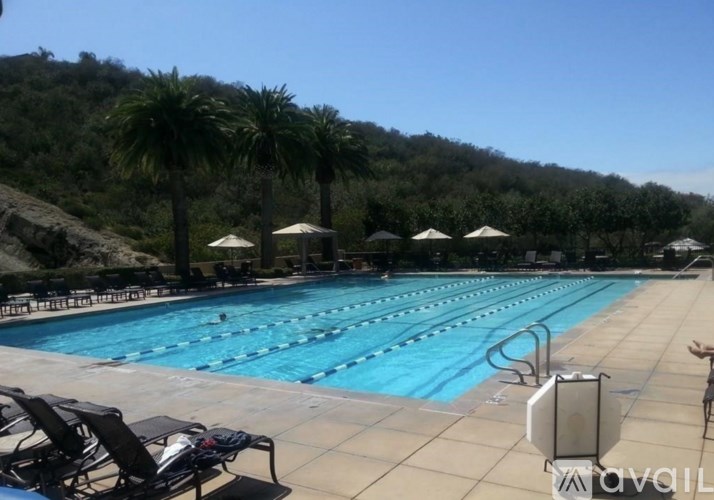 A large outdoor swimming pool surrounded by palm trees and lounge chairs.