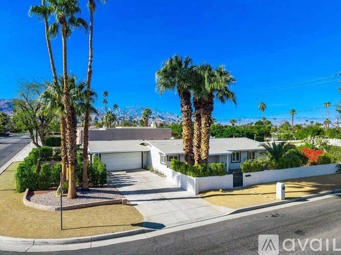 A house with a palm tree in front of it.
