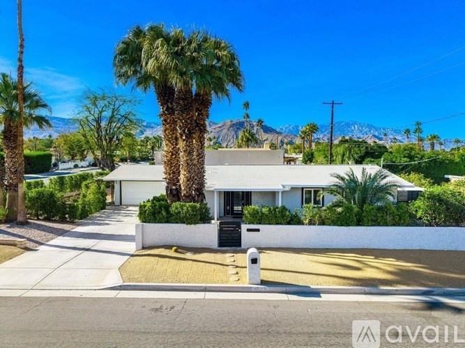 A white house with a palm tree in front.