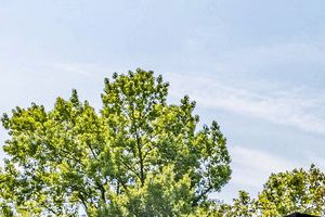 Cheap Apartments For Rent In Concord Nc Cheap Apartments For Rent In Concord Nc