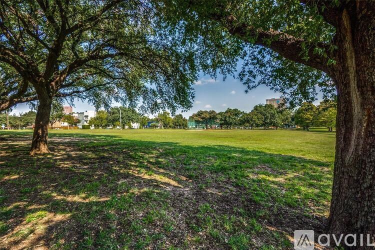 A tree in a field with a clear blue sky.