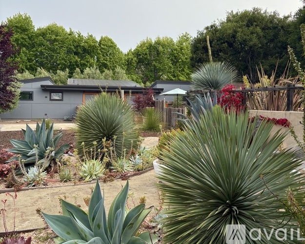A garden with a variety of plants and a house in the background.
