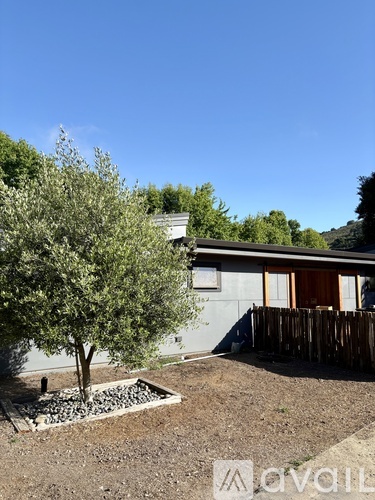 A tree in a garden bed in front of a house.
