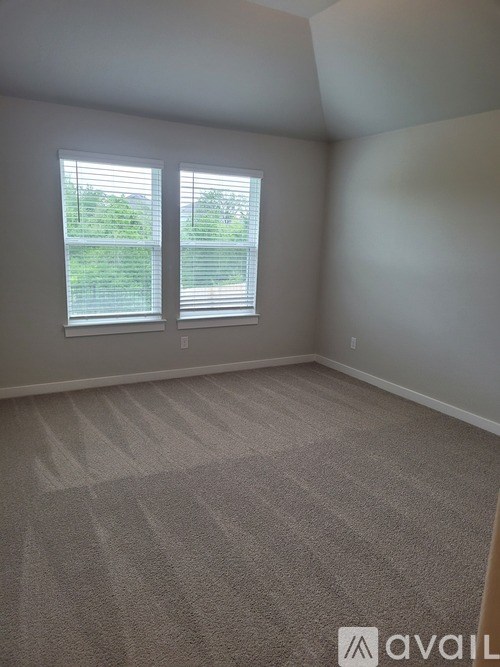 A room with carpeted floor and two windows.