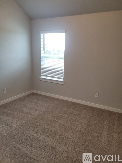 A carpeted room with a window and a wall socket.