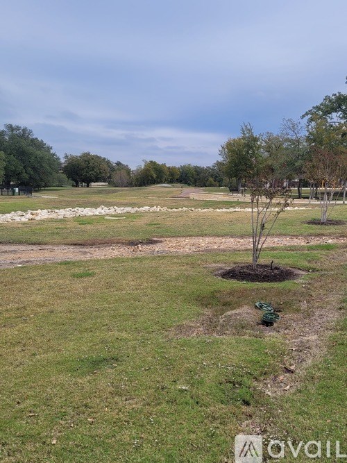 A tree in a hole in the ground with a sign that says "AVAILABLE".