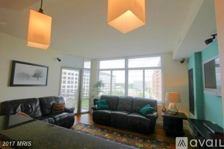 A living room with a black couch and a lamp.