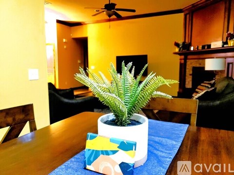 A green plant in a white pot with a blue and yellow design sits on a table.
