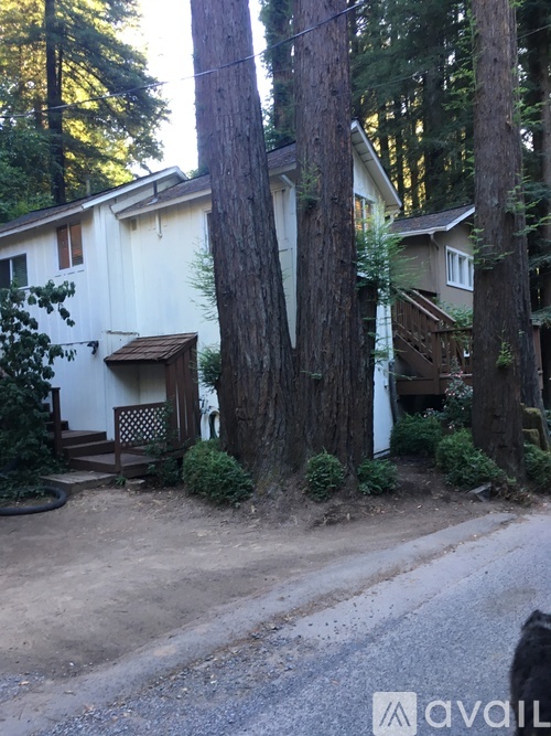 A white house with a brown door is surrounded by trees.
