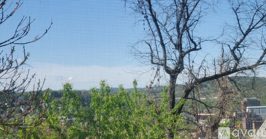 A view of a cityscape through a mesh screen with trees in the foreground.