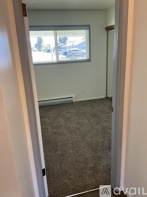 A room with a carpeted floor and a window.