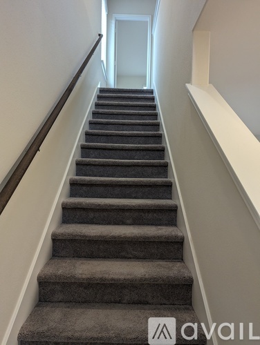 A set of stairs with a carpeted runner and a wooden handrail.
