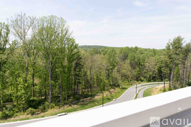 A road with trees on both sides and a clear sky.