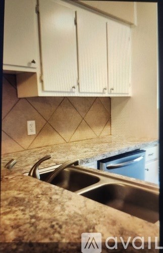 A kitchen with a sink and a dishwasher.